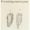 Ferrum in magnetem conversum (détail) © KBR - URL