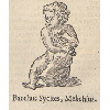 Bacchus sycites (détail) © KBR - URL