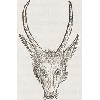 Cervus Burgundicus (détail) © KBR - URL