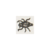 Cantharis (détail) © KBR - URL