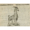 Girafe © KBR - URL